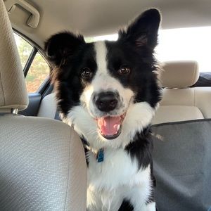 Meet your Posher, Flor